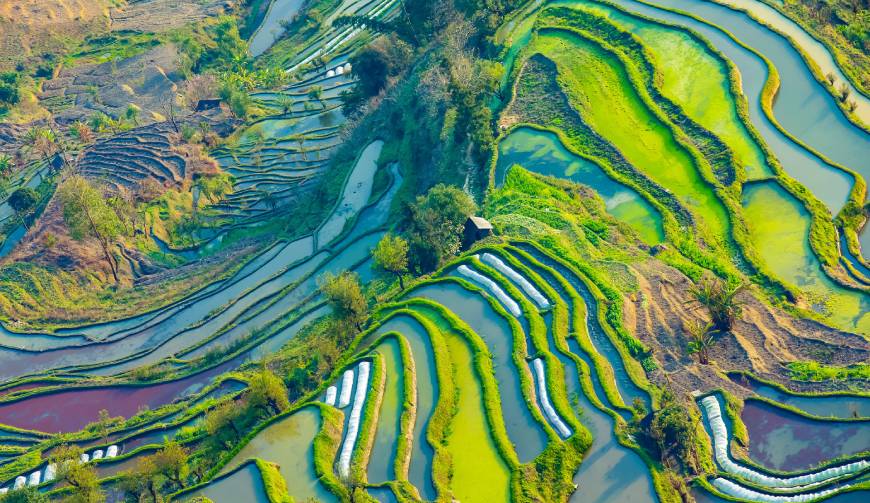 走进郾城区TVC拍摄：解锁本地化场景与创意镜头的完美融合